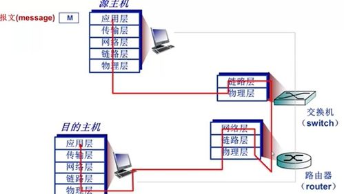 計(jì)算機(jī)網(wǎng)絡(luò)性能與結(jié)構(gòu)體系解析